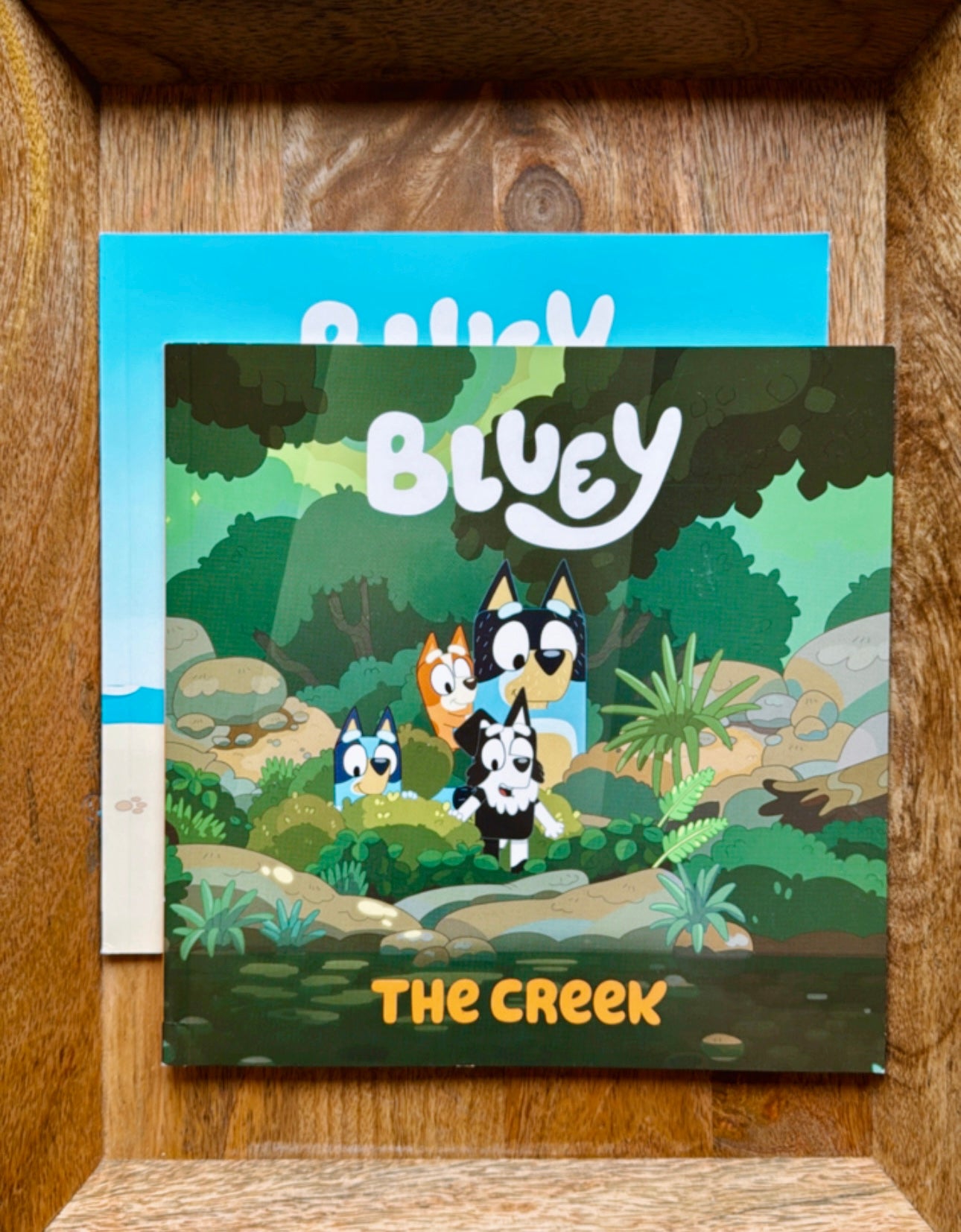Surprise Book Box For Kid's